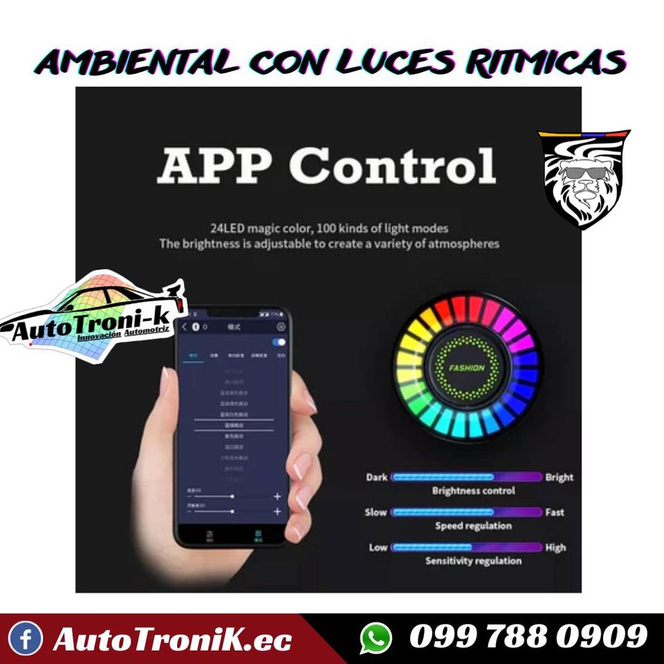 AMBIENTAL CON LUCES LED RITMICAS