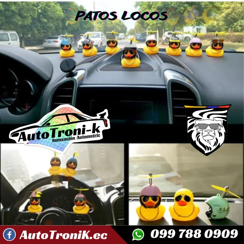 PATO LOCO