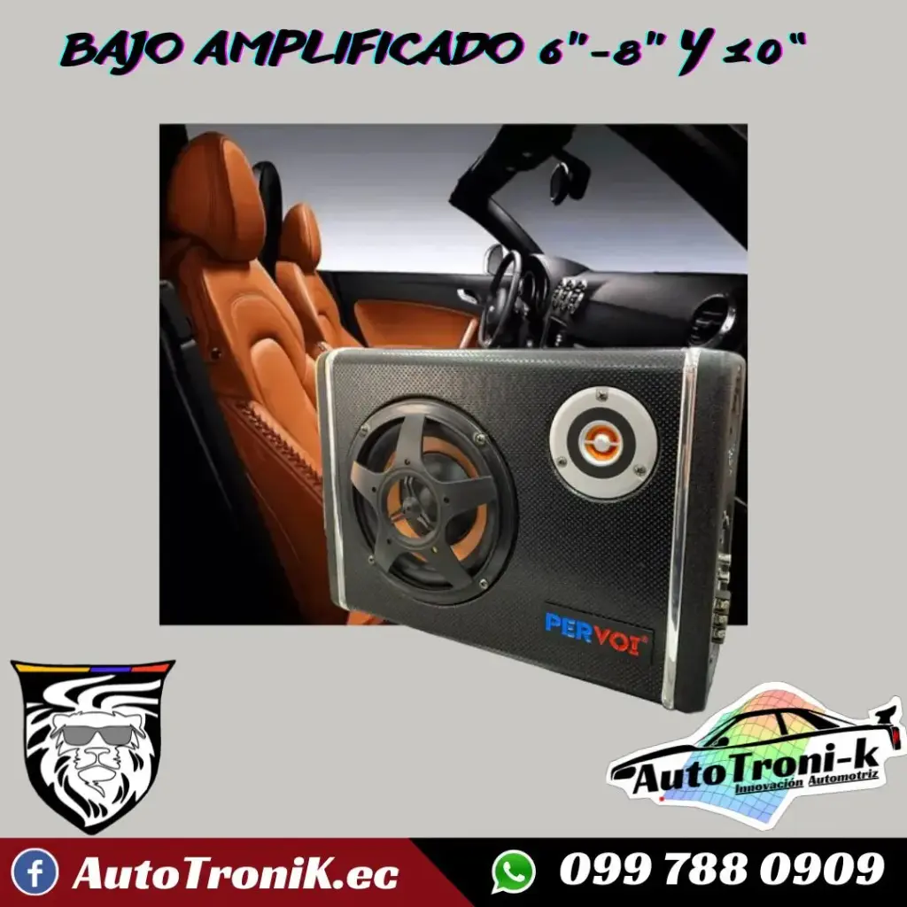 BAJOS AMPLIFICADOS DE 6" 8" Y 10"