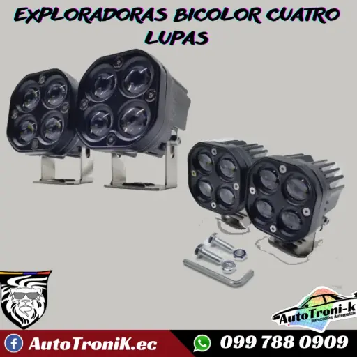 EXPLORADORAS DE 4 LUPAS