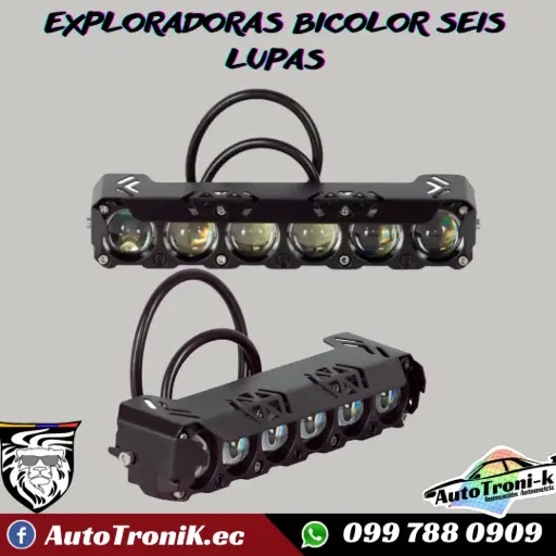 EXPLORADORAS BICOLOR SEIS LUPAS