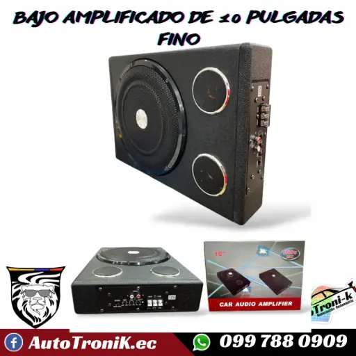 BAJO AMPLIFICADO DE 10 PULGADAS FINO