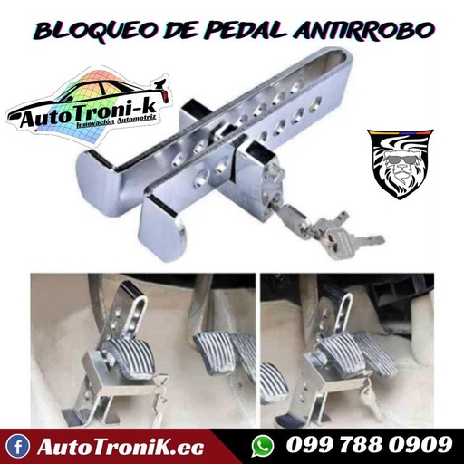 BLOQUEO ANTIRROBO