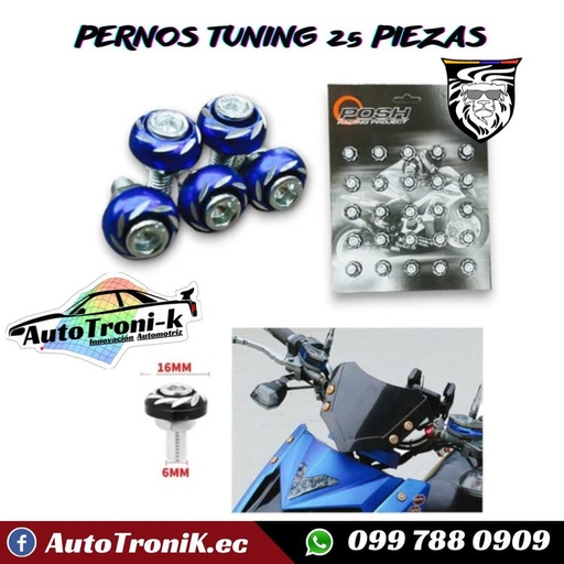PERNOS TUNING 25 PIEZAS