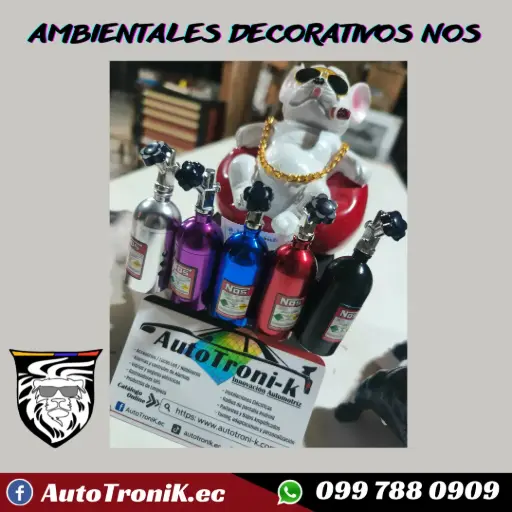 Ambientales decorativo NoS